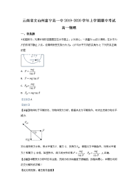 云南省文山州富宁县一中2019-2020学年高一上学期期中考试物理试题