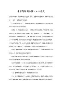 难忘的军训生活500字作文