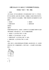 【物理】内蒙古包头市2020届高三下学期普通高等学校全国统一考试（一模）（解析版）