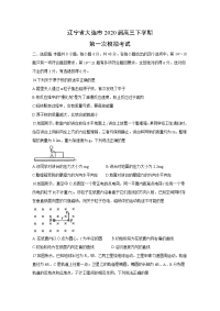 【物理】辽宁省大连市2020届高三下学期第一次模拟考试
