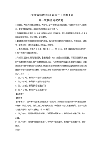 【物理】山东省淄博市2020届高三下学期4月第一次模拟考试试题（解析版）