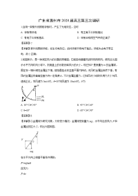 【物理】广东省惠州市2020届高三第三次调研（解析版）