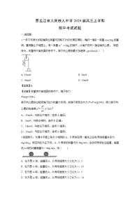 【物理】黑龙江省大庆铁人中学2020届高三上学期期中考试试题（解析版）