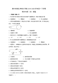 【物理】贵州省铜仁市伟才学校2019-2020学年高一下学期期末考试（文）试题