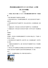 【物理】四川省射洪县射洪中学2019-2020学年高一上学期第二次月考试题 （解析版）