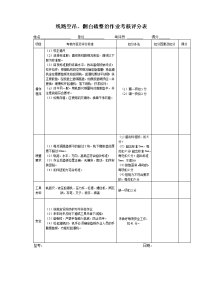 线路空吊、翻白碴整治作业考核评分表