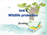 人教版新课标高中英语必修二unit4wildlifeprotectionReading