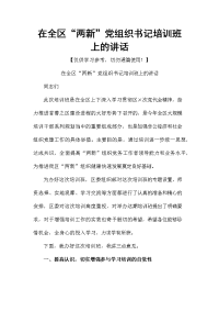 在全区“两新”党组织书记培训班上的讲话