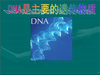 DNA是主要的遗传物质 (2)