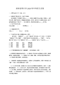 湖南省郴州市2020年中考语文试题 (解析版）