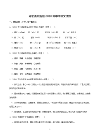湖北省恩施州2020年中考语文试题（解析版）