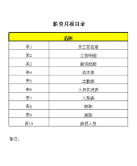 薪酬管理工作月报表格样本(多个表格)