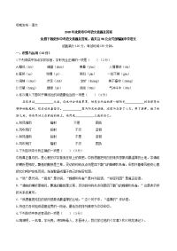 辽宁省沈阳市2020年九年级中考语文试题
