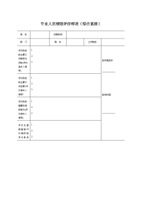 专业人员绩效评价样表