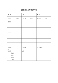 营销员工业绩评价样表