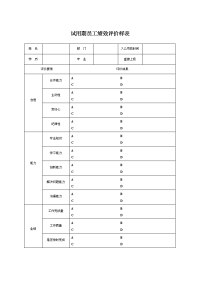 试用期员工绩效评价样表