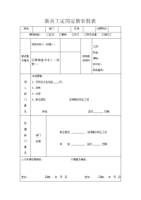 新员工定岗定薪审批表