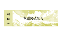 2018届二轮复习带电粒子在复合场中的运动课件（共79张）（全国通用）