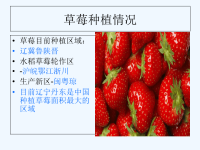 草莓白粉病综合防治方案