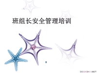 班组长安全管理培训ppt