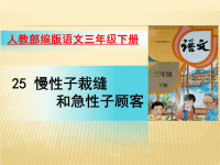 部编语文三年级下册慢性子裁缝和急性子顾客张