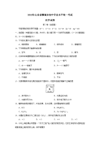 2010聊城市中考化学试卷及答案
