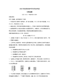 2010中考