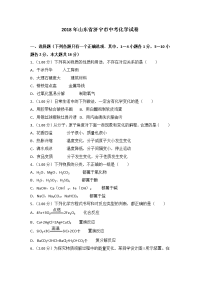 2018年山东省济宁市中考化学试卷