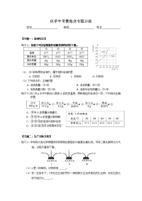 2019北京中考化学重难点专题训练