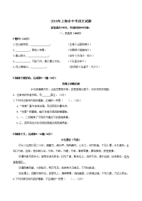 上海市中考语文试题含答案