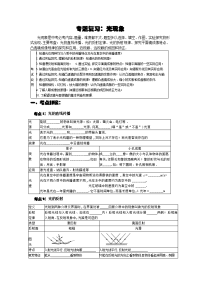 中考 专题复习光现象