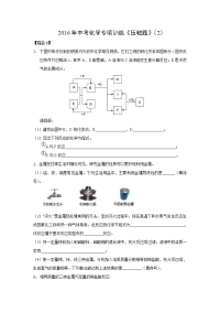 中考化学专项训练压轴题2