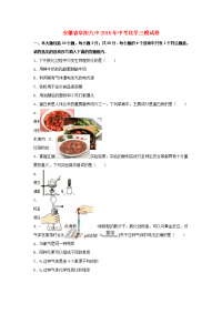 中考化学三模试卷含解析7