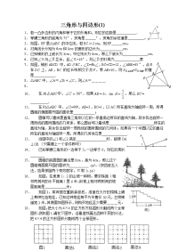 中考初三数学总复习专题训练三角形与四边形