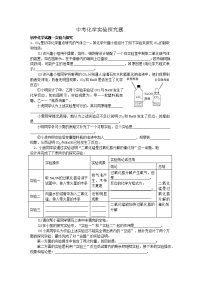 中考化学专题实验探究精炼含答案