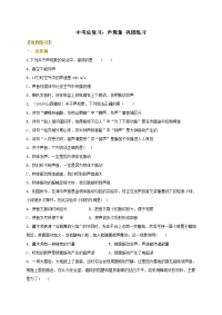 中考总复习声现象 巩固练习有答案