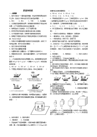 中考物理专题训练质量和密