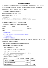 中考化学实验探究题专题及答案