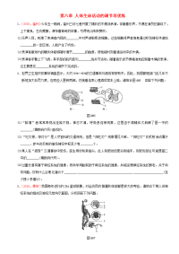 中考生物 考点梳理   人体生命活动的调节培优练 新人教版1