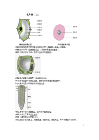 人教初中生物中考复习图专题