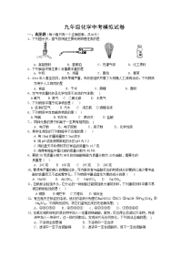 人教版九年级化学中考模拟试卷