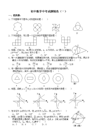 初中数学中考专题训练一下学期  华师大