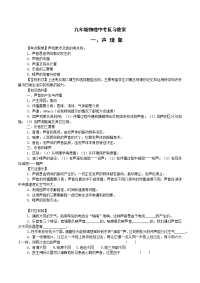 初中物理中考复习教学案全部