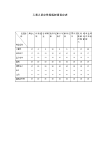 乙类人员定性指标权重设定表