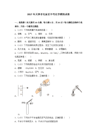 天津市北辰区中考化学模拟试卷