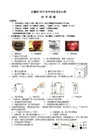 安徽省中考化学定心卷