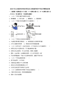 山东德州市经济开发区太阳城学校中考化学模拟试卷解析版
