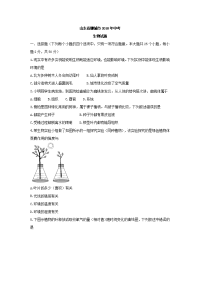 山东省聊城市中考生物试题及答案word