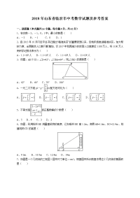 山东省临沂市中考数学试题