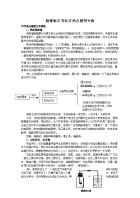 新课标中考化学热点题型分析
